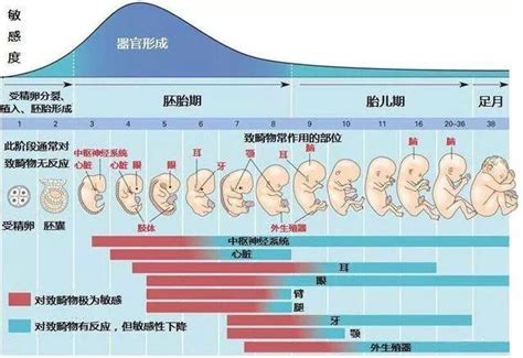 初一生的孩子|不同月份的初一出生有何说法